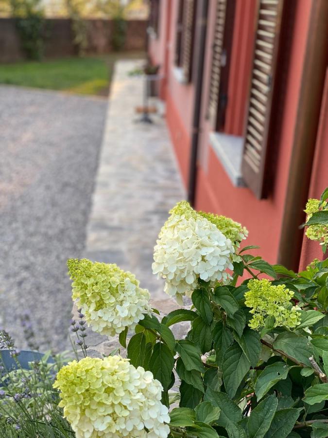 Il Mallo Verde - Lake Como B&B Mandello del Lario Exterior photo