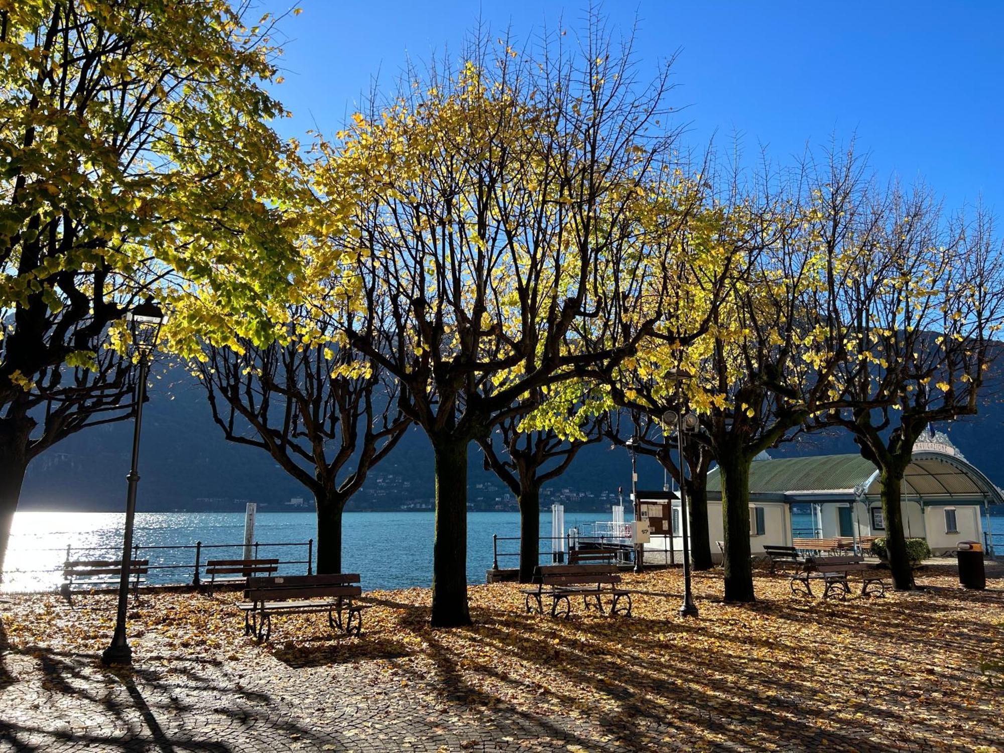 Il Mallo Verde - Lake Como B&B Mandello del Lario Exterior photo