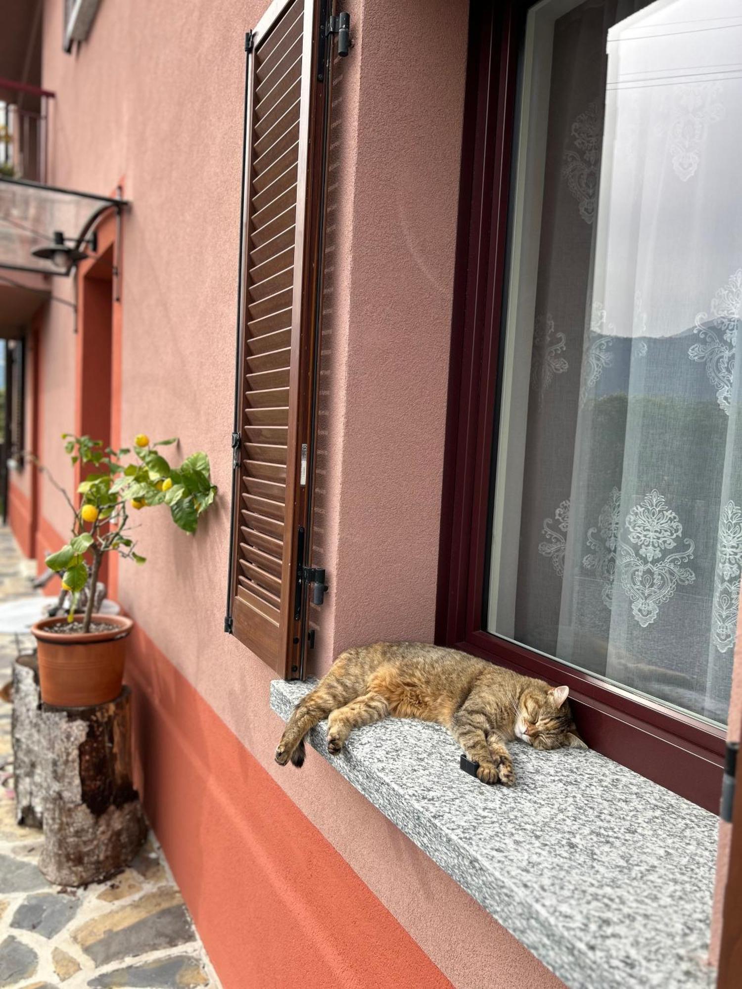 Il Mallo Verde - Lake Como B&B Mandello del Lario Exterior photo